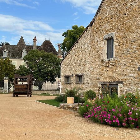 Chateau Du Mauny, Gites Et Chambres D'Hotes En Bourgogne Rosey Екстериор снимка