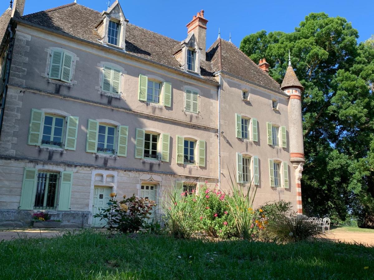 Chateau Du Mauny, Gites Et Chambres D'Hotes En Bourgogne Rosey Екстериор снимка