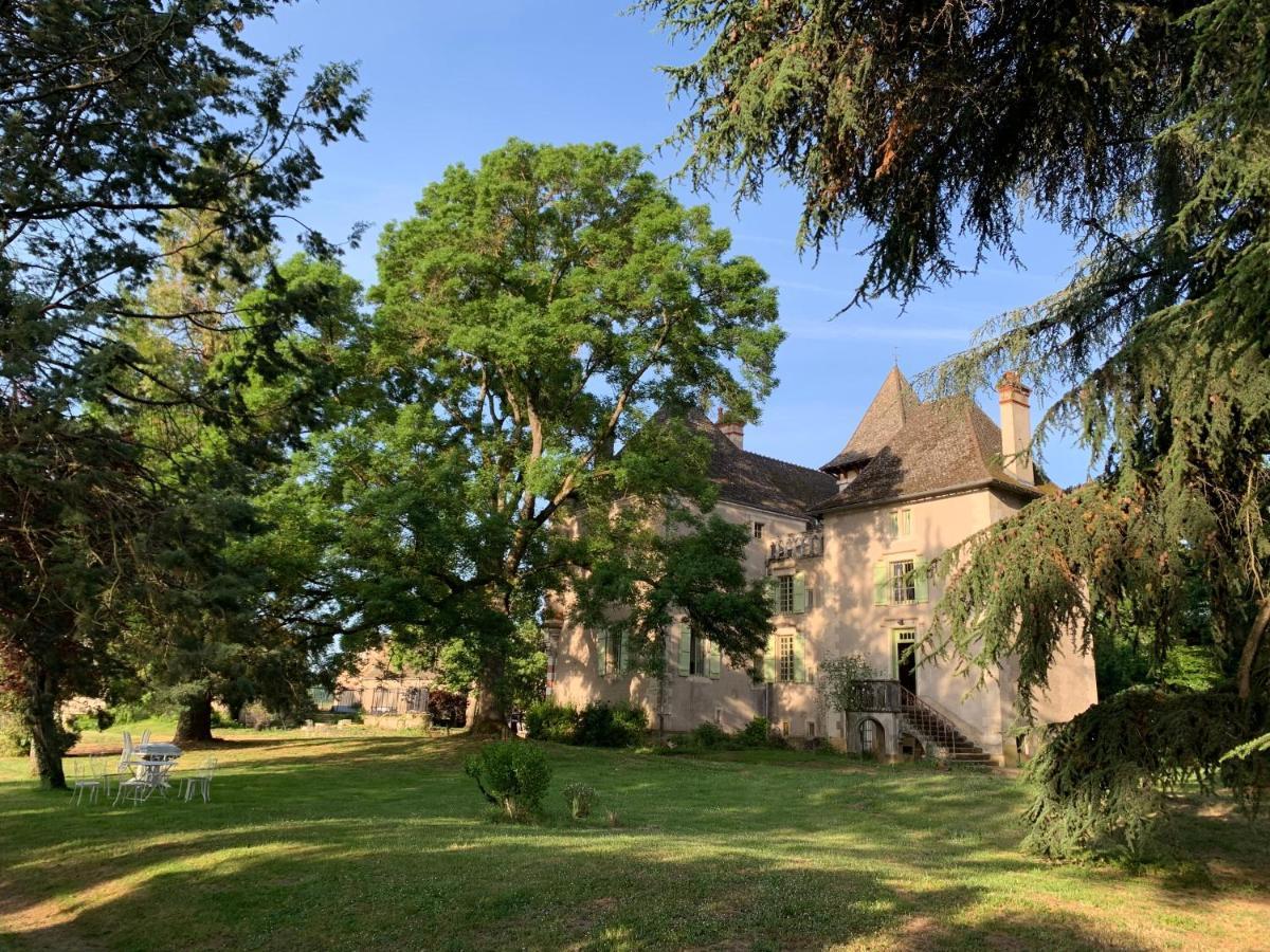 Chateau Du Mauny, Gites Et Chambres D'Hotes En Bourgogne Rosey Екстериор снимка
