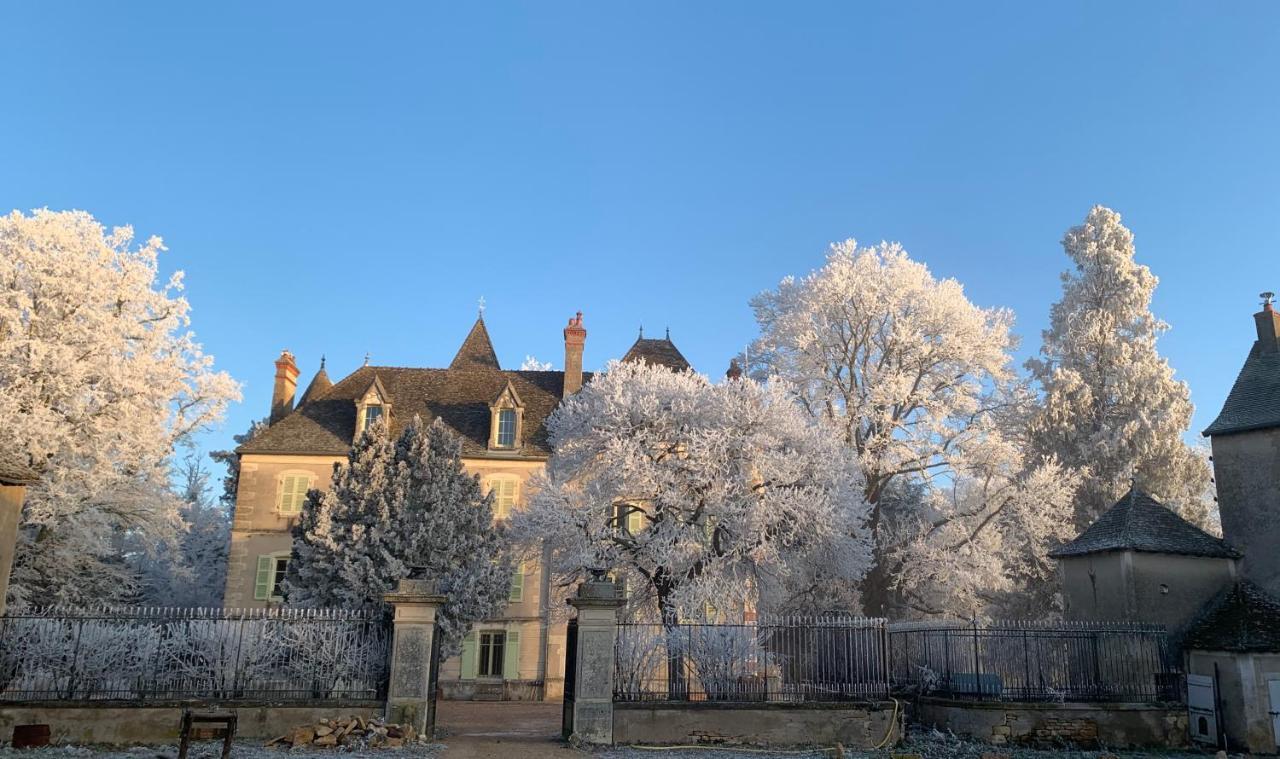 Chateau Du Mauny, Gites Et Chambres D'Hotes En Bourgogne Rosey Екстериор снимка