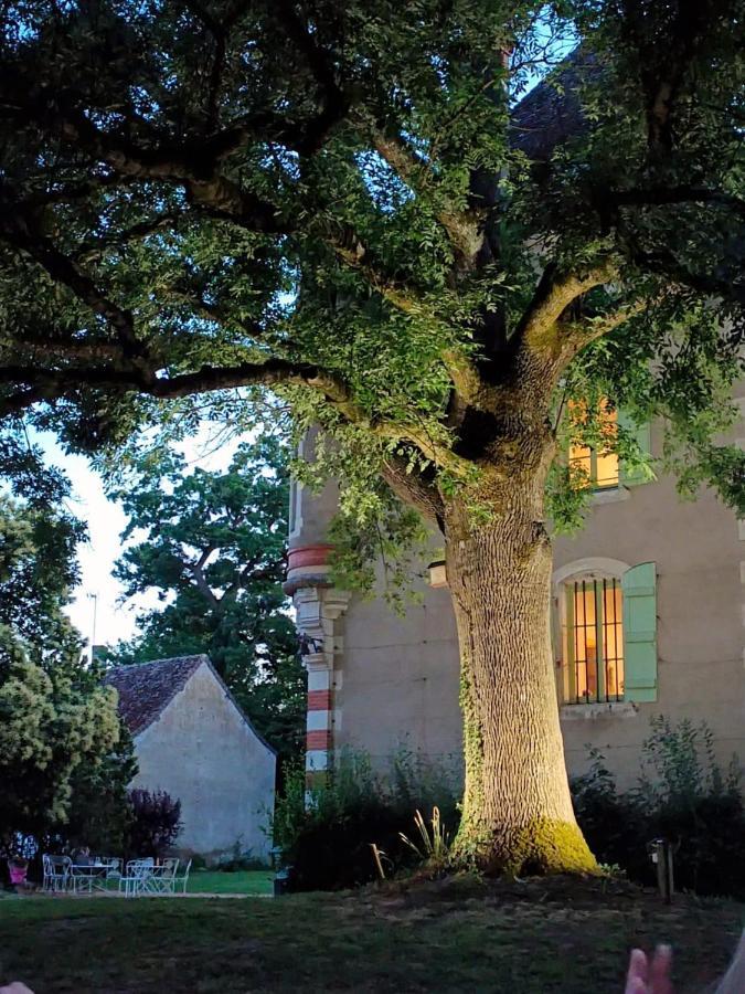 Chateau Du Mauny, Gites Et Chambres D'Hotes En Bourgogne Rosey Екстериор снимка