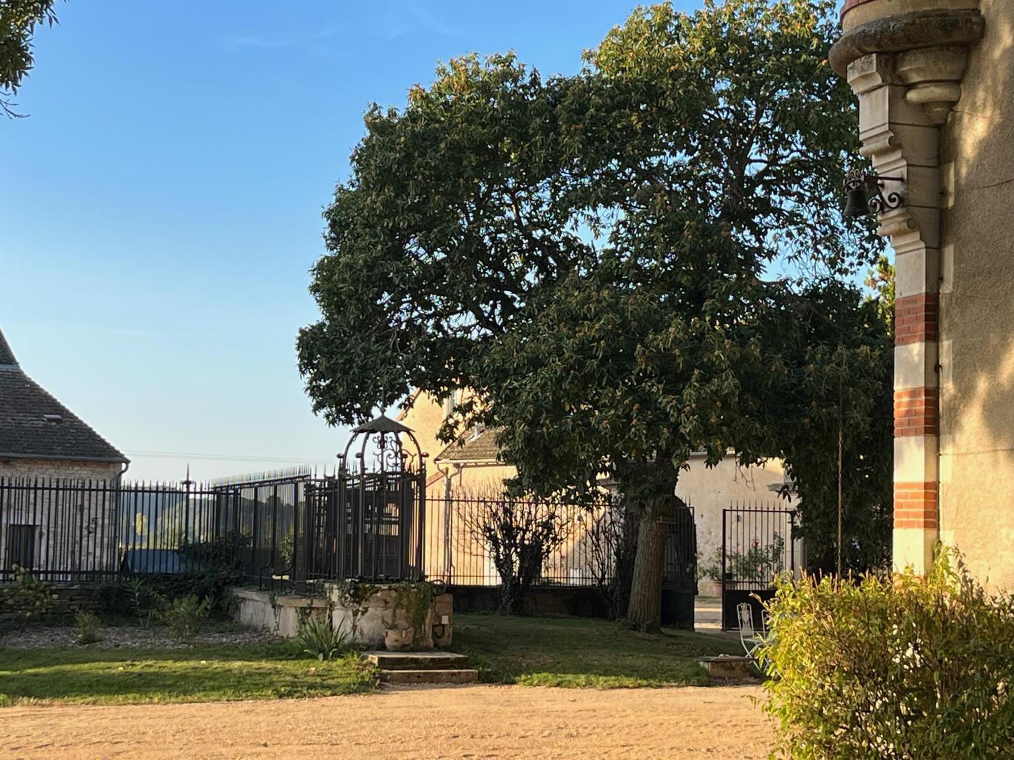 Chateau Du Mauny, Gites Et Chambres D'Hotes En Bourgogne Rosey Екстериор снимка